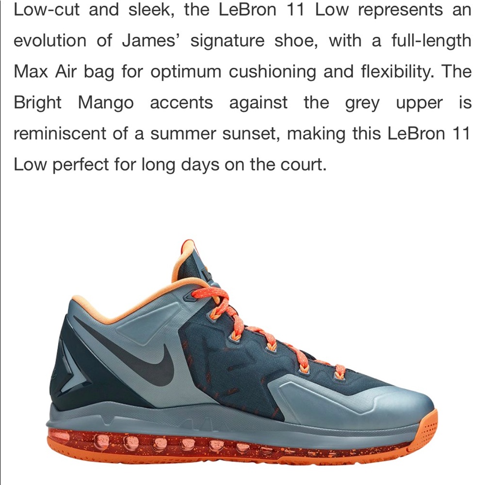 Men's Nike Lebron 11 low cut grey sneakers.